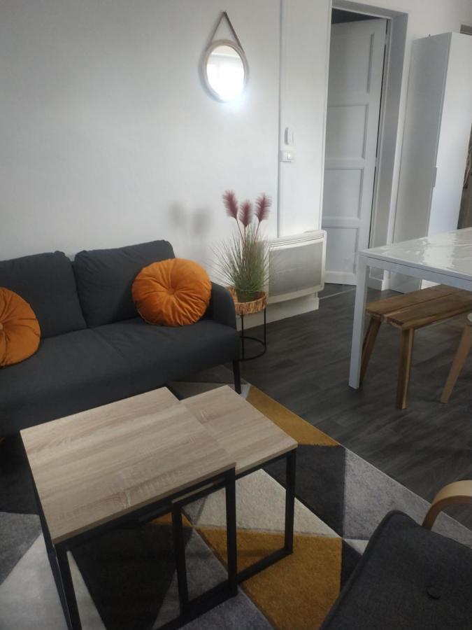 Tosca - Appartement - Parking Gratuit Orléans Eksteriør bilde